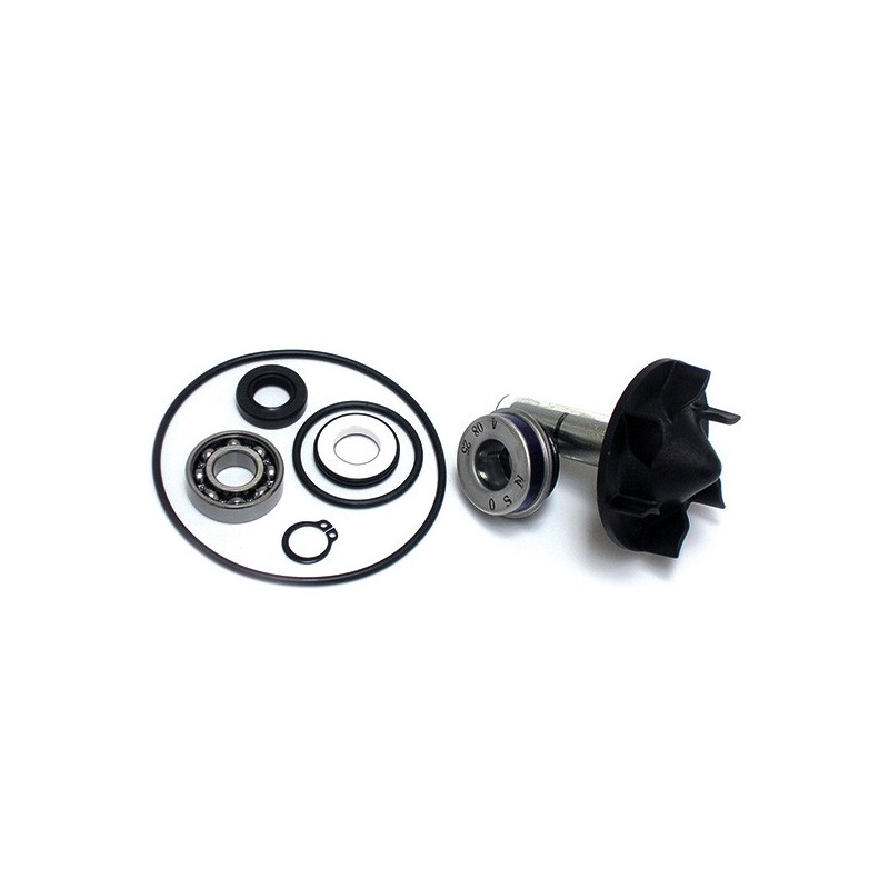282030 WATER PUMP REBUILD KIT Yamaha XP A T Max ABS 2012+ SGR - GENERICO