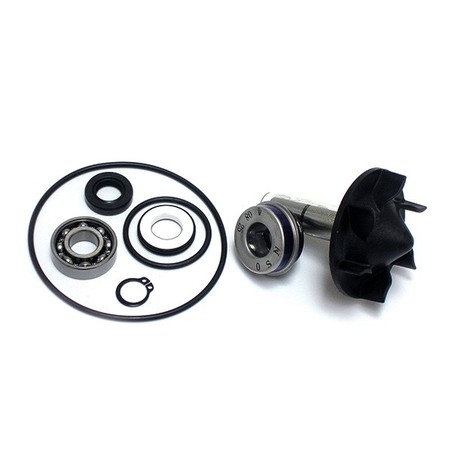 282030 WATER PUMP REBUILD KIT Yamaha XP A T Max ABS 2012+ SGR - GENERICO