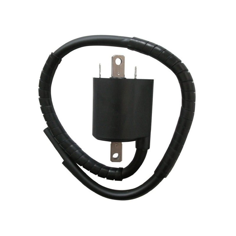 F006T54191 EXTERN AN DER SPULE Yamaha XV Virago Manubrio Alto 1994+ MITSUBISHI