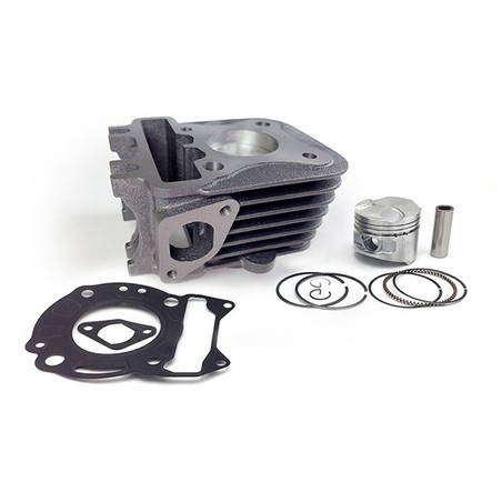 95011005 CILINDRO CON PISTON Aprilia RST 4T 2003+ HERT
