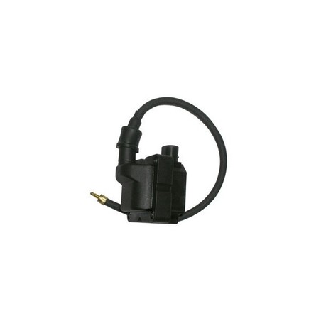 168192 EXTERN AN DER SPULE Aprilia Scarabeo Light IE 4T 2009+ SGR - ELETTRICO