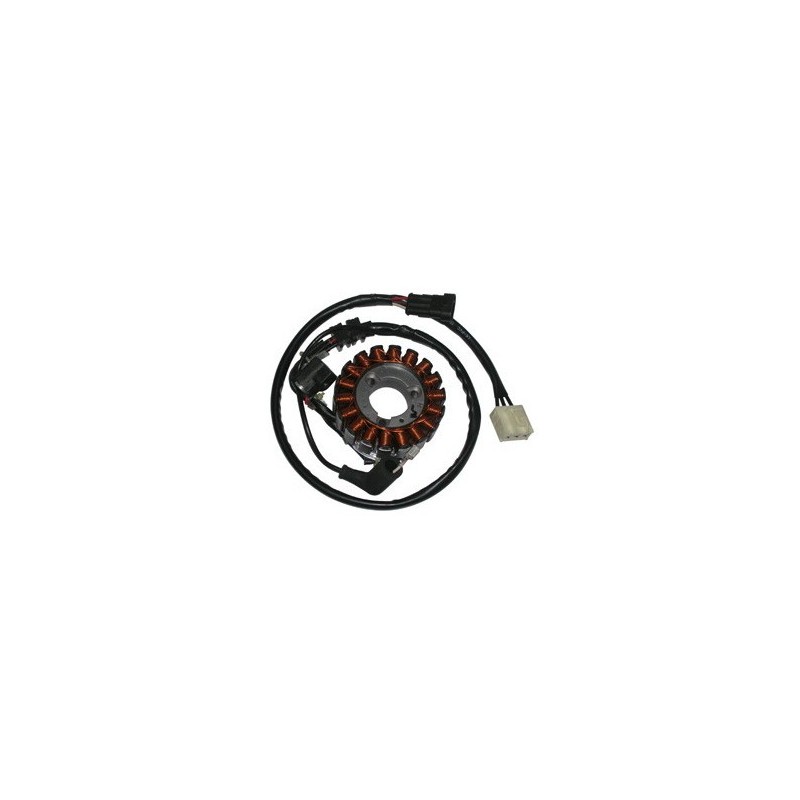 168005 COMPLETE STATOR Aprilia Atlantic IE E3 2010+ SGR - ELETTRICO