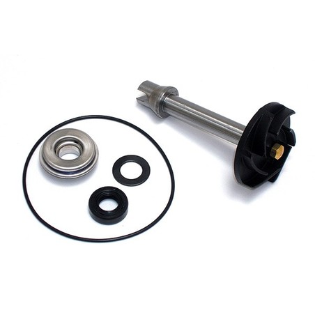 WPR-12 ZESTAW DO REMONTU POMPY WODY Aprilia Scarabeo IE ABS E2 2002+ SGR - GENERICO