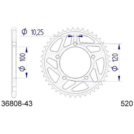 36808:43 Aprilia Tuono 8 V E5 Factory 2022+ AFAM