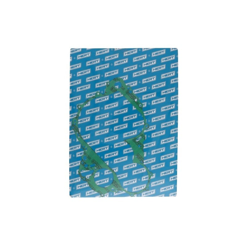 70411B17006 GUARNIZIONE LATO FRIZIONE Aprilia RSV R Tuono 2002+ HERT