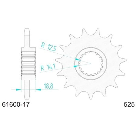 166600:17 PIGNONE AFAM S AC P525-D17 Aprilia Factory 2004+ AFAM