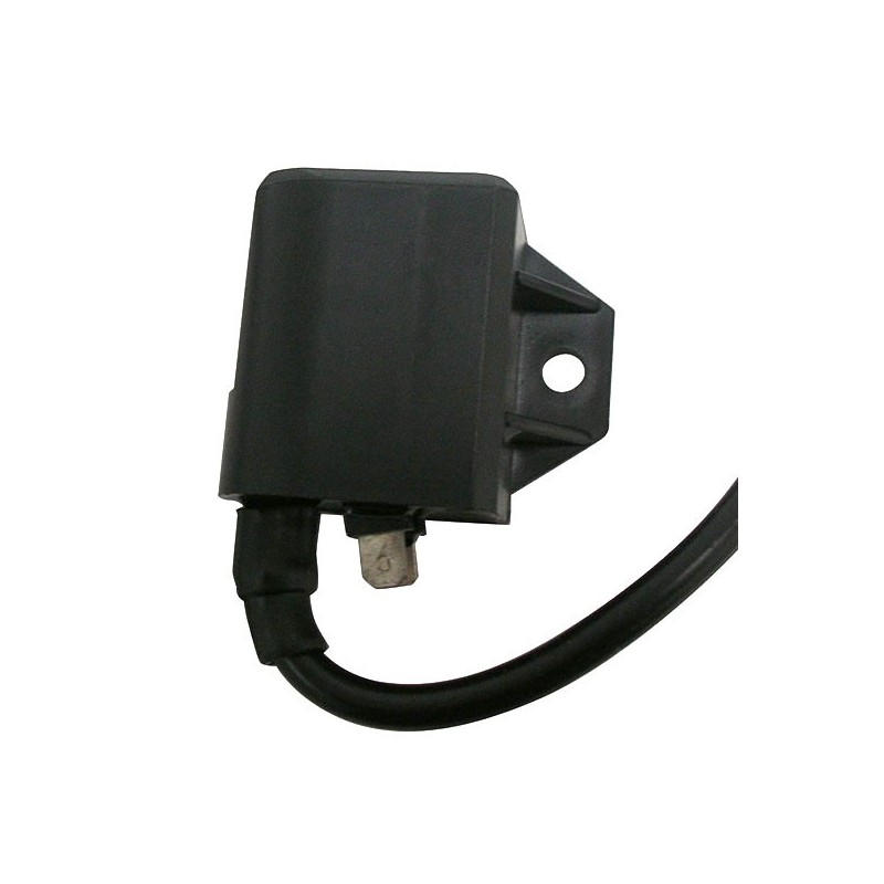 173404 UNITÉ DE COMMANDE DE BOBINE Benelli Naked E2 2003+ SGR - ELETTRICO