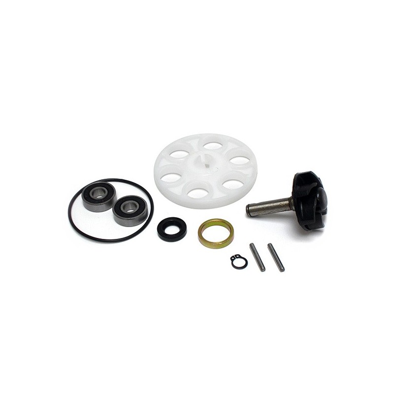 282002 WATER PUMP REPAIR KIT WITH TOWING DISC Betamotor ARK LC DD 1996+ SGR - GENERICO