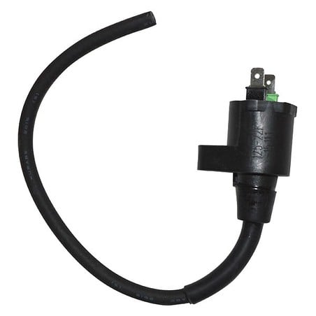 168191 EXTERNAL AT COIL Betamotor Eikon 2000+ SGR - ELETTRICO
