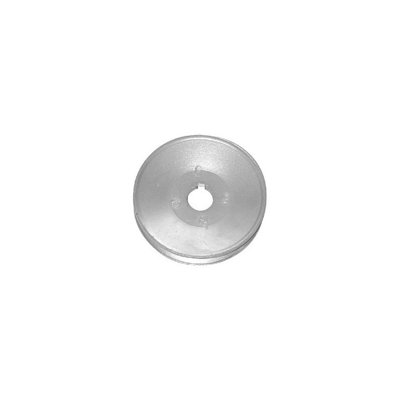 1666031 PULEGGIA FORO 14 PER ALTERNATORI SAPRISA
