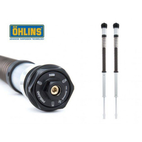 CARTUCCIA FORCELLA OHLINS NIX22 TRIUMPH THRUXTON 2008-2015