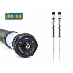 CARTUCCIA FORCELLA OHLINS NIX22 TRIUMPH SCRAMBLER 2006-2015