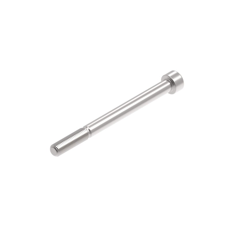 PRN020038-01 Tornillo Evotech M10 x 120 x 1.25mm Pitch Caphead - 316 S/S Evotech-performance