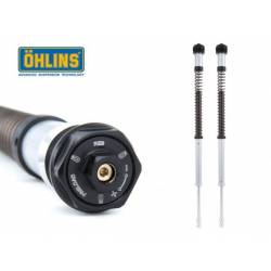 CARTUCCIA FORCELLA OHLINS NIX22 HD SPORTSTER XL 1200 X FORTY EIGHT 2016-2017