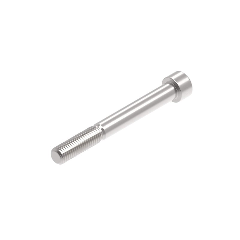 PRN020078-01 Tornillo Evotech M12 x 105 x 1.75mm Pitch Caphead - 316 S/S Evotech-performance