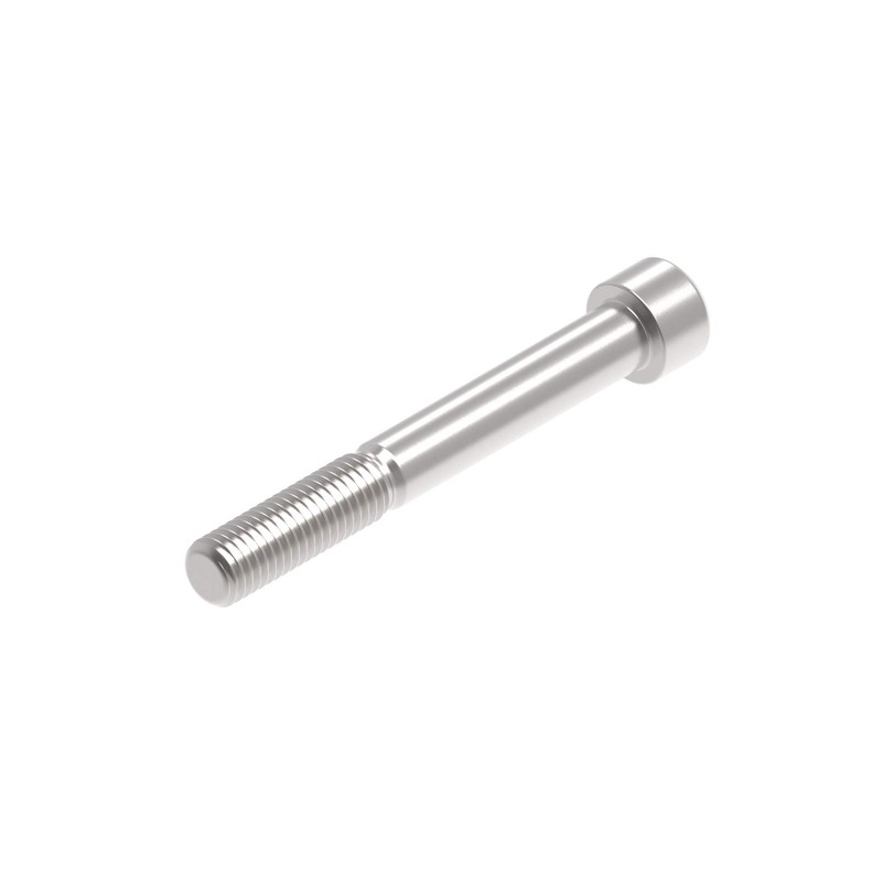PRN020077-01 Tornillo Evotech M12 x 95 x 1.75mm Pitch Caphead - 316 S/S Evotech-performance