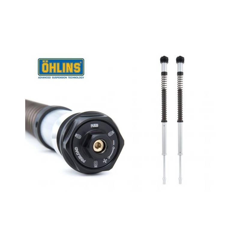 CARTOUCHE DE FOURCHETTE OHLINS NIX22 COUPE DE RUE TRIUMPH 900 2018