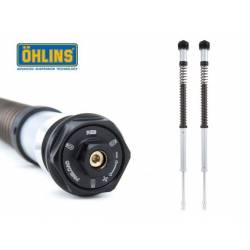 CARTUCCIA FORCELLA OHLINS NIX22 HONDA CBR 500 R 2017-2018