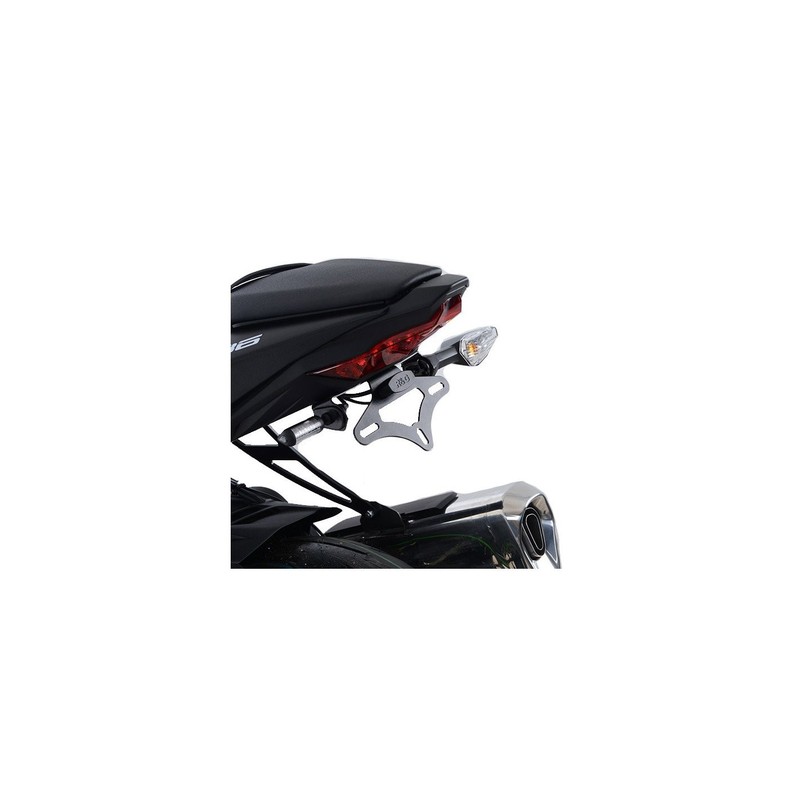 LP0262BK R&G Portatarga, KawasakiKawasaki ZX 636 2019