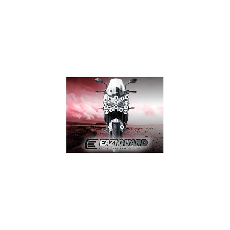 GUARDKAW012M Eazi-Grip protective film Kawasaki SX Z 1000