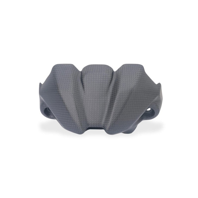 ZA219 Instrument panel cover Carbon Ducati Streetfighter V2 My2025 2025+ CNC Racing