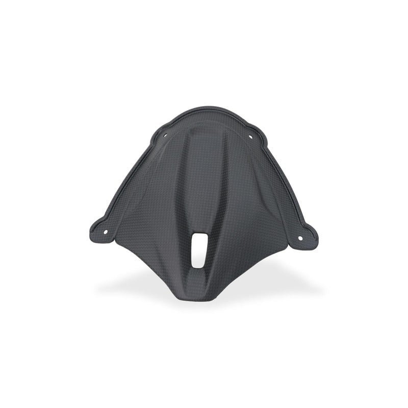 ZA415 Front Fairing Infill Carbon Ducati Superbike Panigale V4 S 2025+ CNC Racing