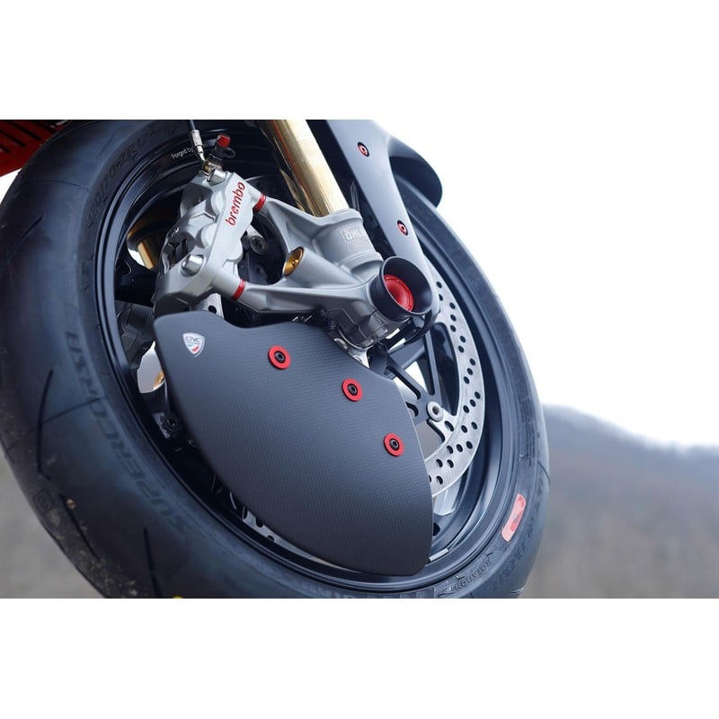 TP551_01_DUCATI Buffer front wheel RACE Ducati CNC Racing TP551_01