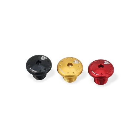 KV481 Vite supporto puntale sinistro Ducati Diavel V4 RS 2026+ CNC Racing