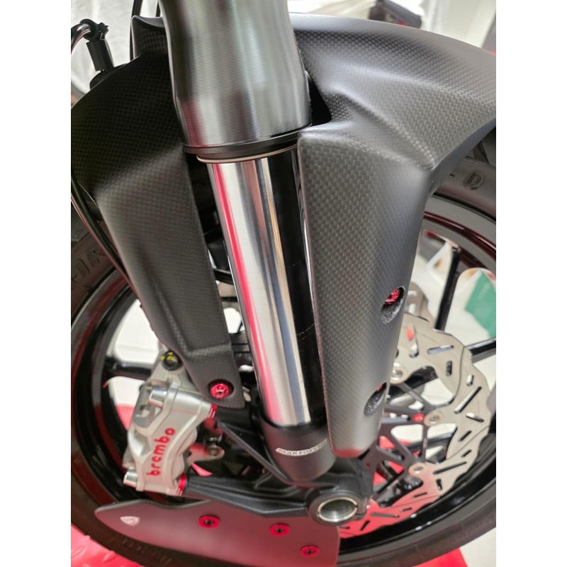 Parafango anteriore Carbonio Ducati Multistrada V4 Rally 2023+ CNC Racing