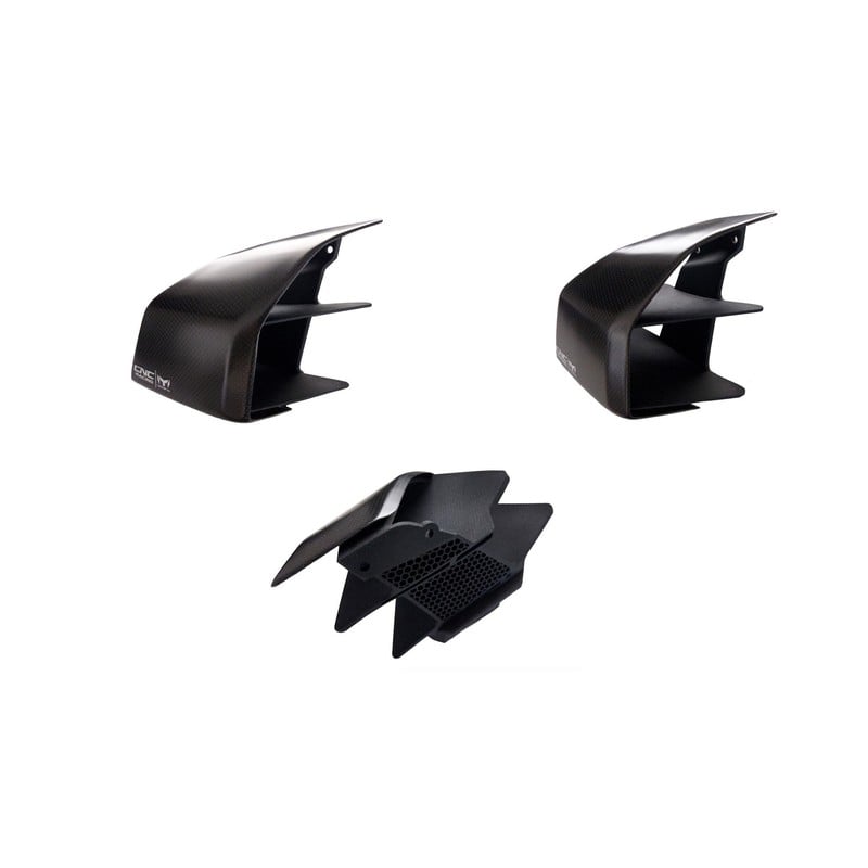 ZW005 GP Winglets Carbon fiber Ducati Streetfighter V4 S 2020+ CNC Racing