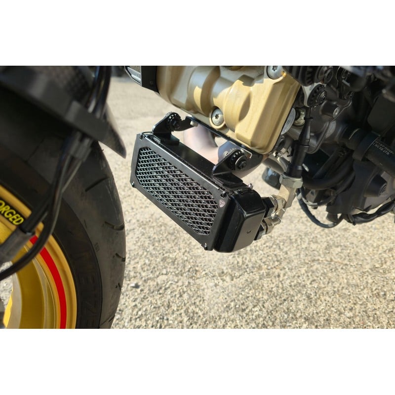 RA065 Radiator Guard Oil 950 Ducati Hypermotard 939 Sp 2016+ CNC Racing