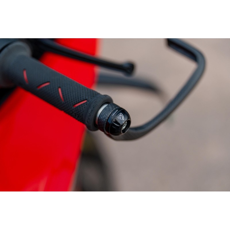 PL150_Y_DUCATI Brake Guard Carbon Race Protection front brake lever matt carbon Ducati CNC Racing PL