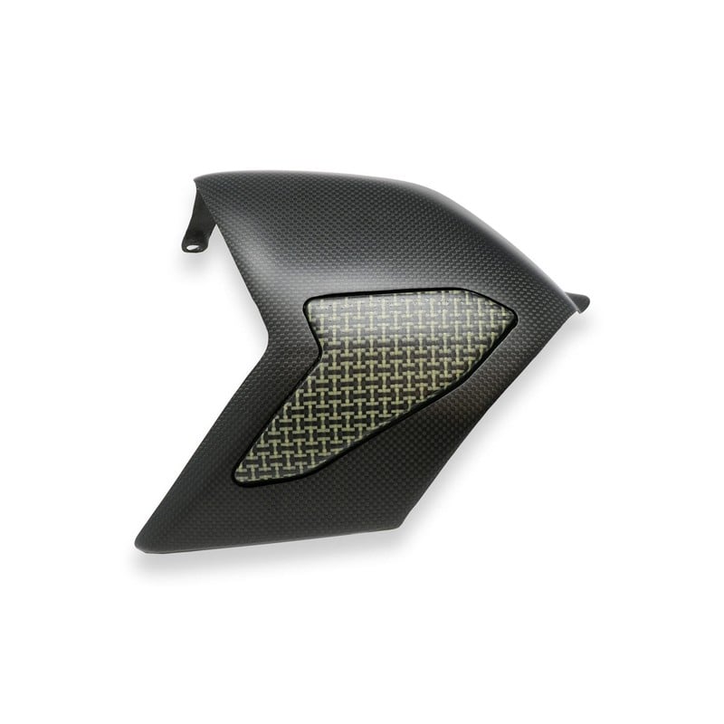 ZA865 Cover forcellone Carbonio Kevlar Ducati Superbike Panigale V4 R 2019+ CNC Racing