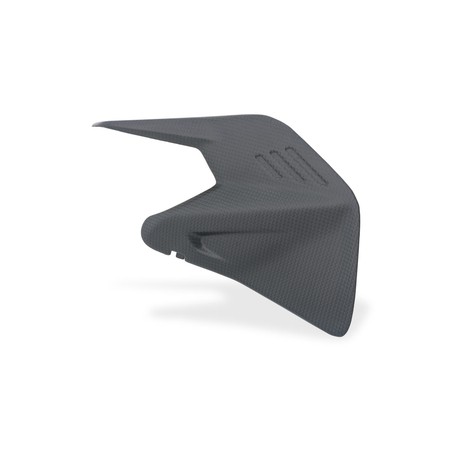 ZA419 Cover forcellone Streetfighter carbonio Ducati Superbike Panigale V4 S 2025+ CNC Racing