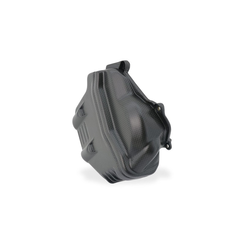 ZA310 Cover testa cilindro posteriore Sx Streetfighter carbonio Ducati Superbike Panigale V4 2021+ C