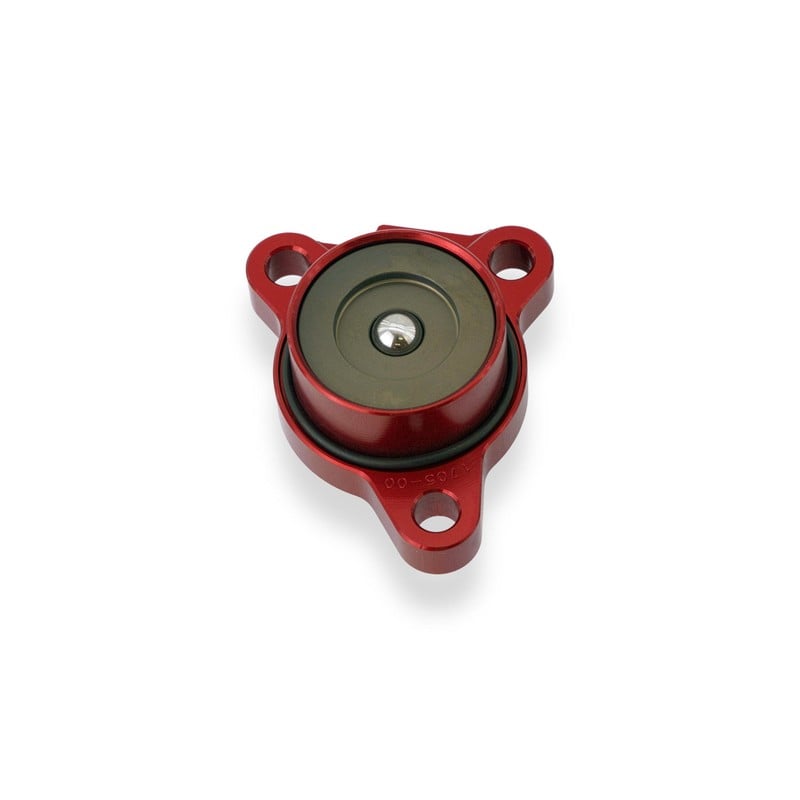 AF651 Attuatore frizione da diametro Ø 29 mm per Streetfighter e Ducati Superbike 955 Panigale V2 20