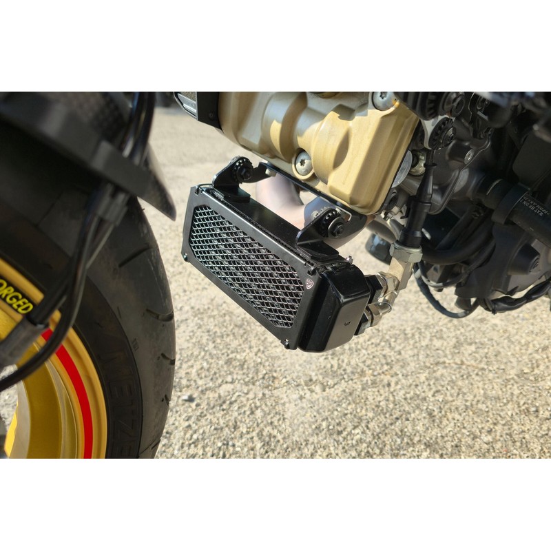 Griglia radiatore olio 939 Ducati Hypermotard 950 Sp 2019+ CNC Racing