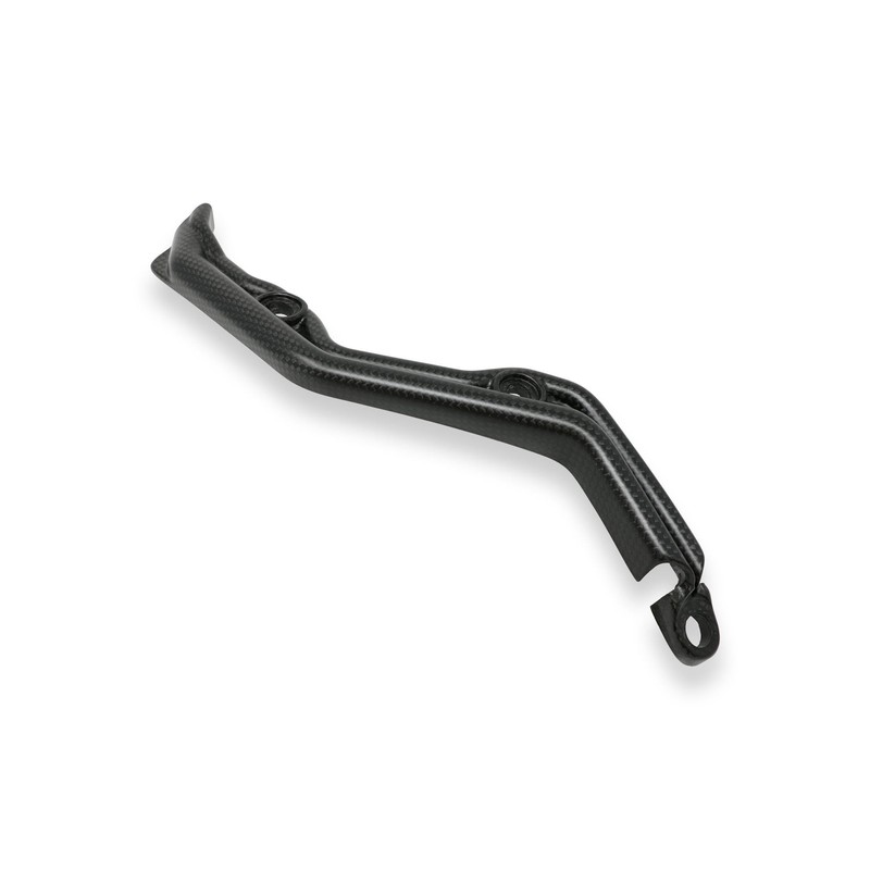ZA515 Passacavi forcellone Panigale Carbonio opaco Ducati Superbike 1199 Superleggera 2014+ CNC Raci