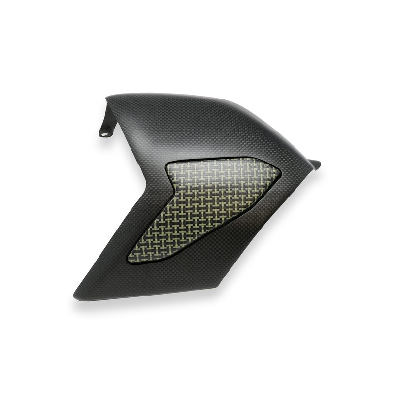 ZA865 Swingarm cover Carbon Kevlar Ducati Superbike Panigale V4 2018+ CNC Racing