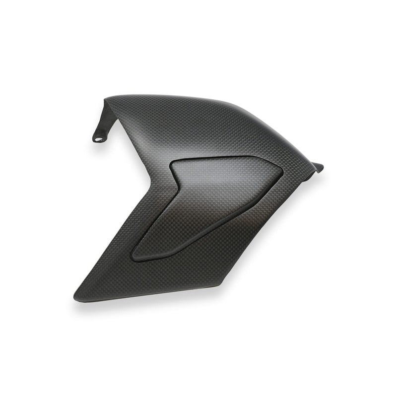 ZA864 Swingarm cover Carbon Ducati Superbike Panigale V4 S 2018+ CNC Racing