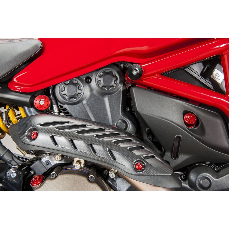 ZA965 Protezione collettore in carbonio 821 Ducati Monster 1200 2014+ CNC Racing