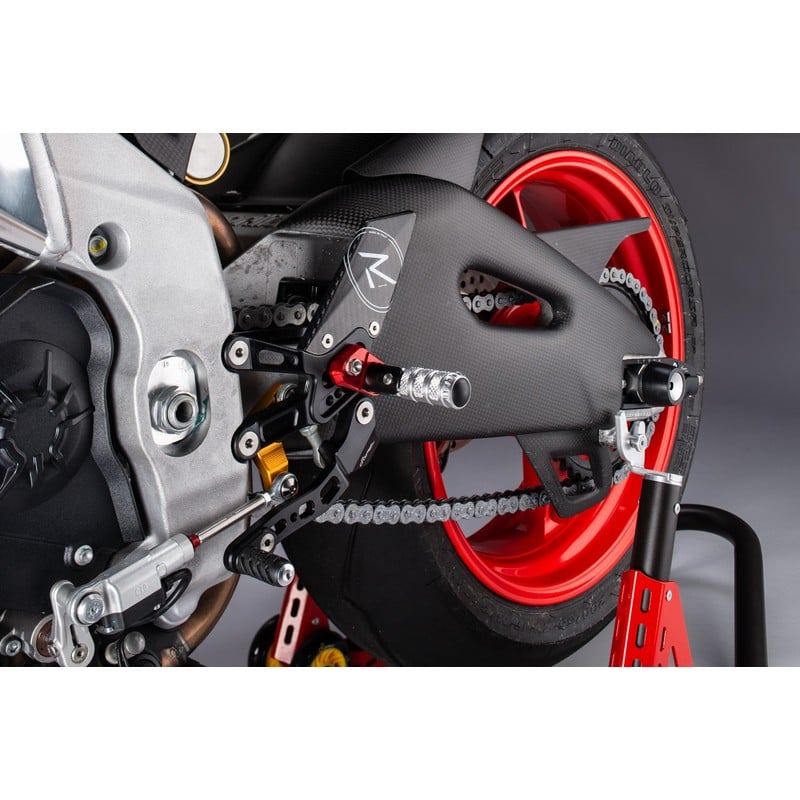 CARA4060 Carbon-Schwingenschützer Paar Aprilia RSV4 2015+ Lightech
