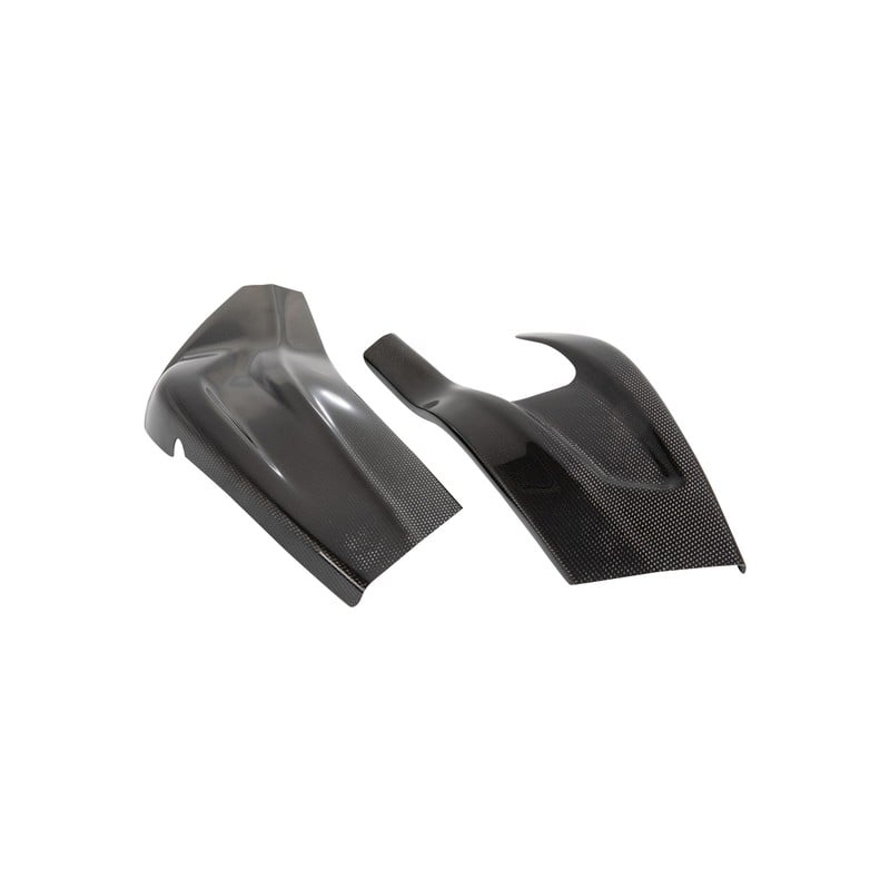 CARB1061 Carbon Arm Protections Pair Bmw S 1000 RR 2015+ Lightech