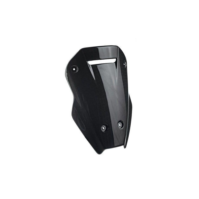 CARD0271 Cupolino In Carbonio Ducati Multistrada V4 2021+ Lightech