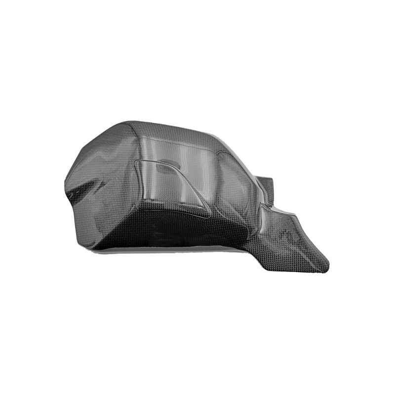 CARD0760 Schwingenschutz aus Carbon Ducati Streetfighter V4 2020+ Lightech