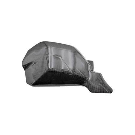 CARD0760 Protezioni Forcellone in Carbonio Ducati Streetfighter V4 2020+ Lightech