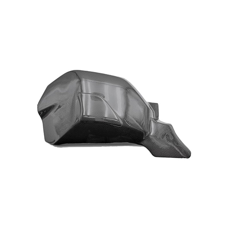 CARD0760 Protezioni Forcellone in Carbonio Ducati Streetfighter V4 S 2020+ Lightech