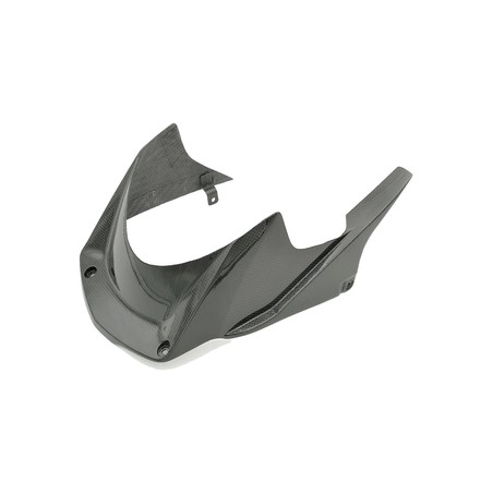 CARH2120 Hinterradkotflügel aus Carbon Honda CBR1000RR-R 2020+ Lightech