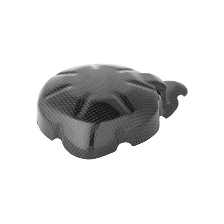 CARK8040 Coperchio Alternatore In Carbonio Kawasaki Z900 2017+ Lightech