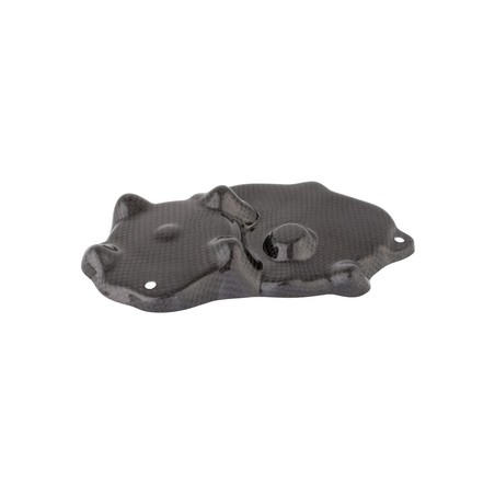 CARK9518 Carbon Pick Up Cover Kawasaki ZX636 2009+ Lightech